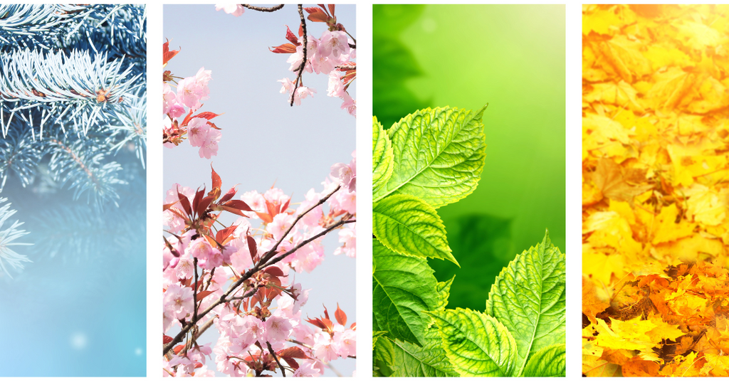 Wimpernpflege für jede Jahreszeit: Tipps für jedes Wetter